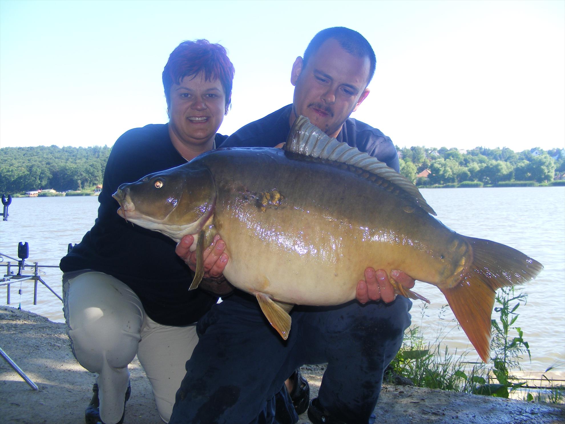 Harsanyi 2013 - dscf6329.JPG